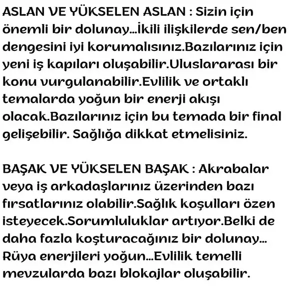 kova15 (8).webp