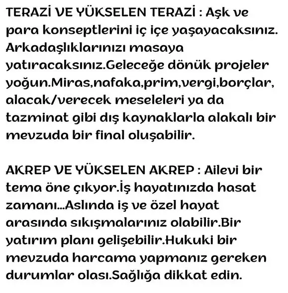 kova15 (9).webp