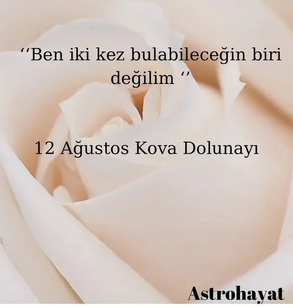 kova15.webp