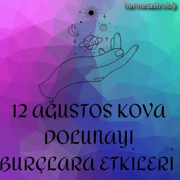 kova16 (1).webp