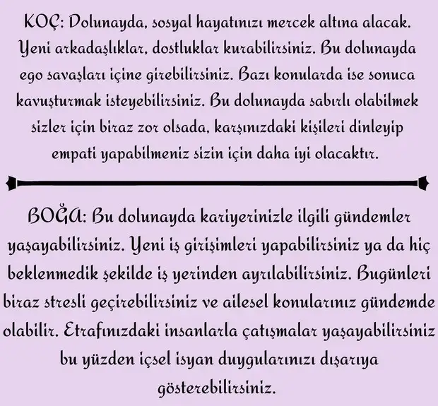 kova16 (2).webp