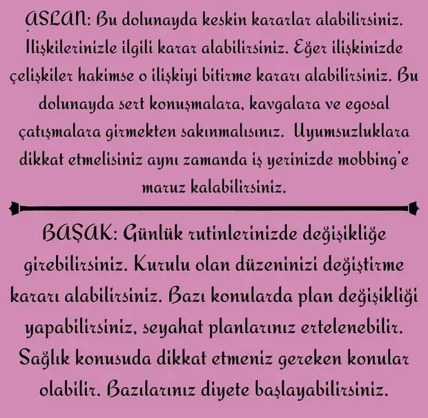 kova16 (4).webp