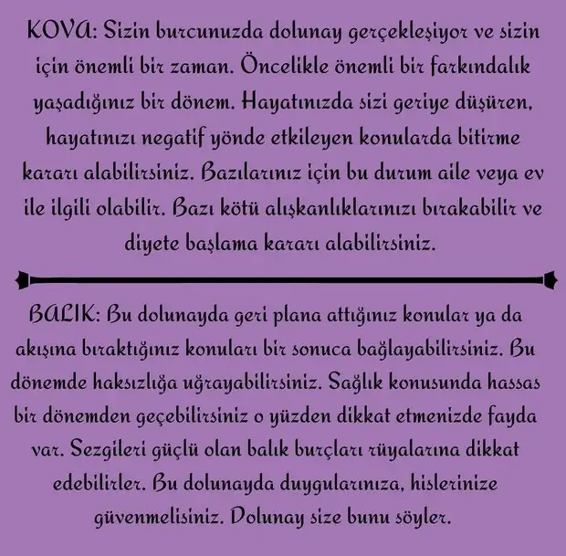 kova16 (7).webp