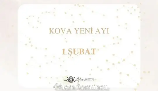 kova17 (1).webp
