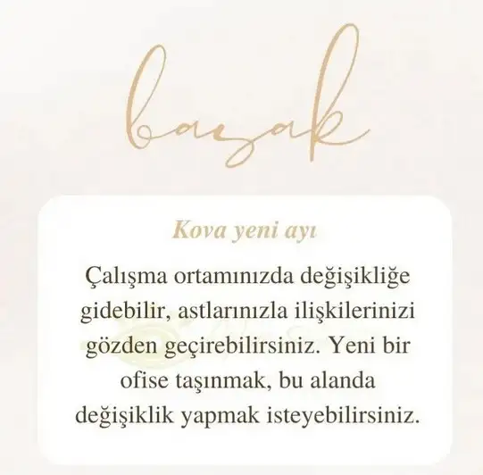 kova17 (12).webp
