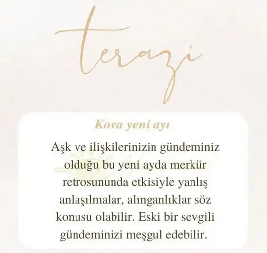 kova17 (14).webp
