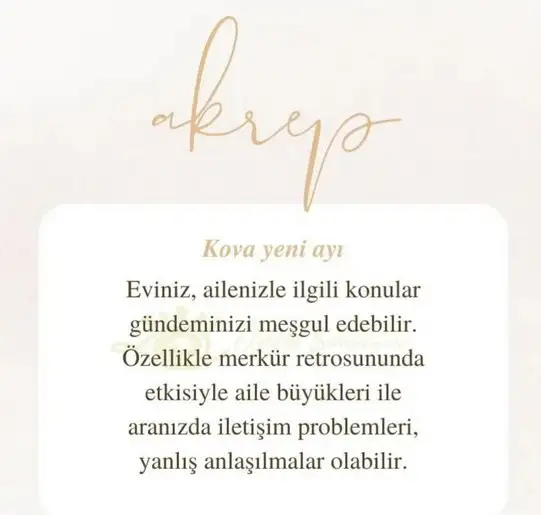kova17 (16).webp
