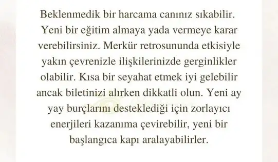 kova17 (19).webp