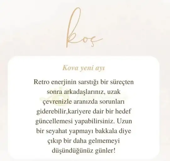 kova17 (2).webp