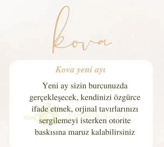 kova17 (22).webp