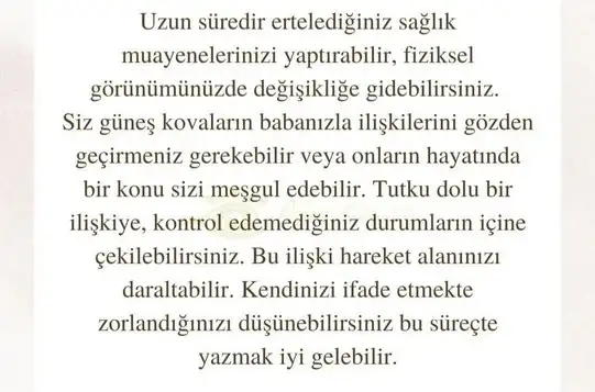 kova17 (23).webp