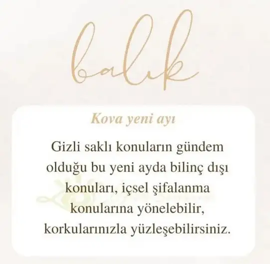 kova17 (24).webp