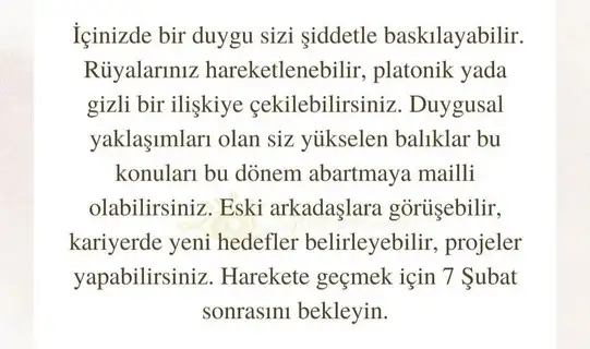 kova17 (25).webp