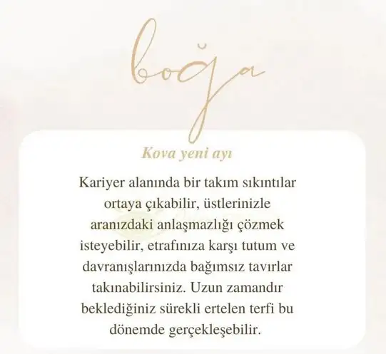 kova17 (4).webp