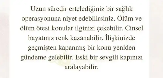 kova17 (9).webp