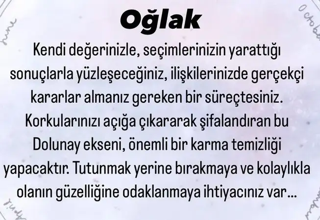kova18 (10).webp