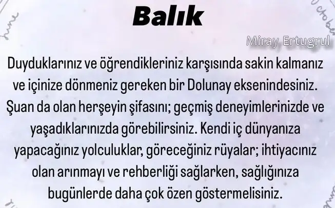 kova18 (12).webp