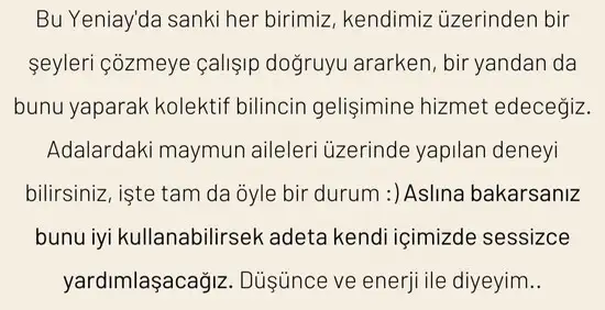 kova18 (5).webp