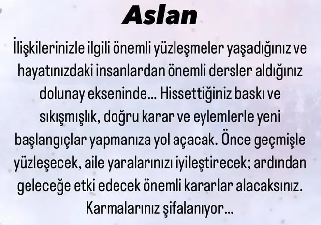 kova18 (5).webp