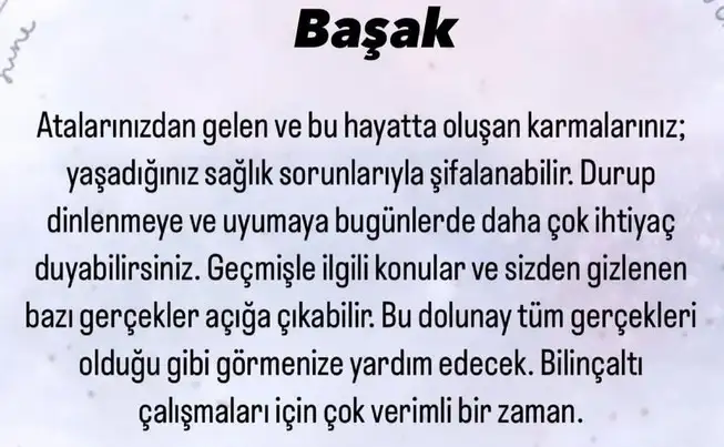 kova18 (6).webp
