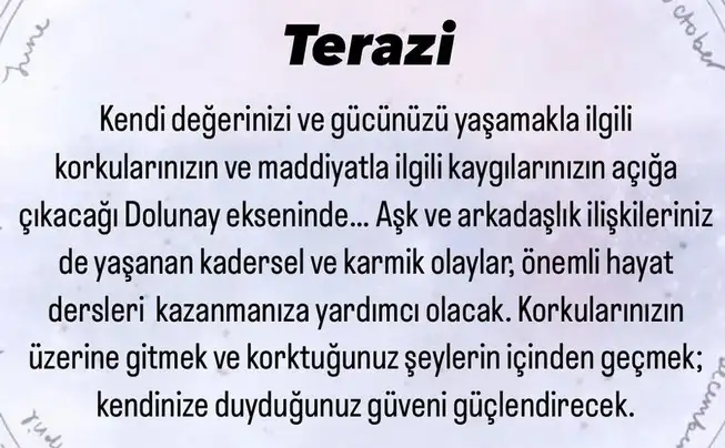 kova18 (7).webp