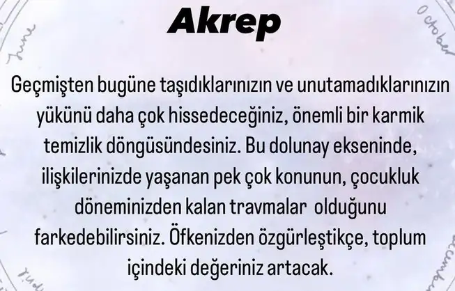 kova18 (8).webp