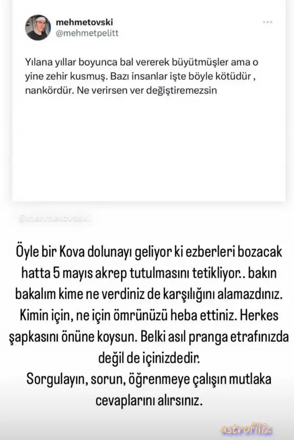 kova18.webp