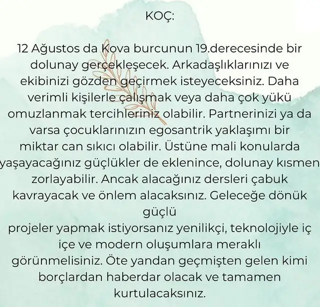 kova19 (1).webp