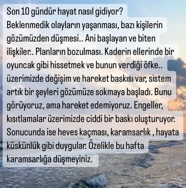 kova19 (1).webp