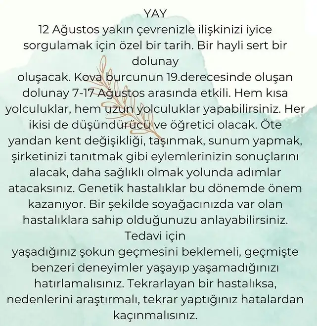 kova19 (11).webp