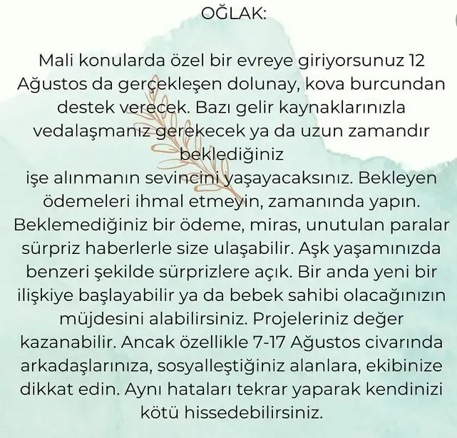 kova19 (12).webp