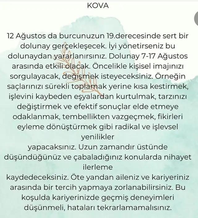 kova19 (13).webp