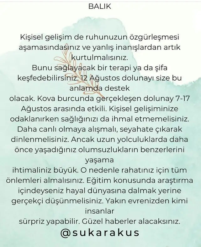 kova19 (14).webp