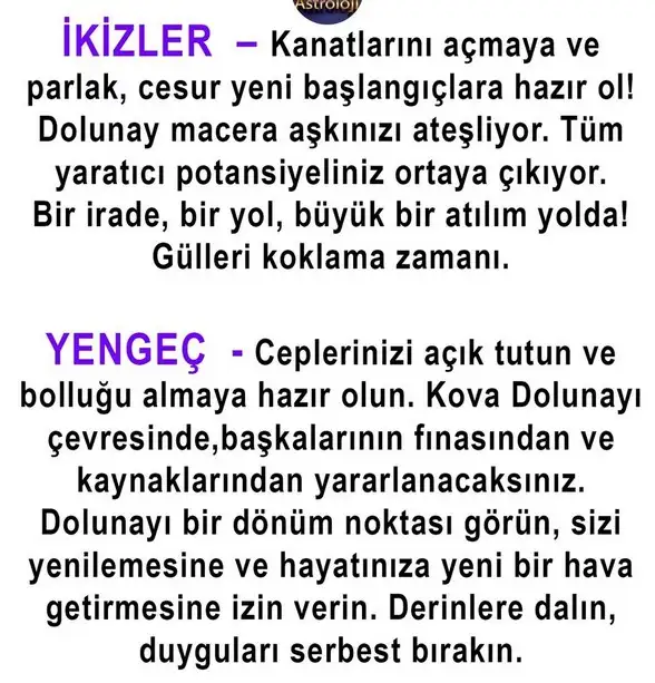 kova19 (2).webp