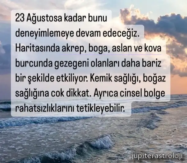 kova19 (3).webp