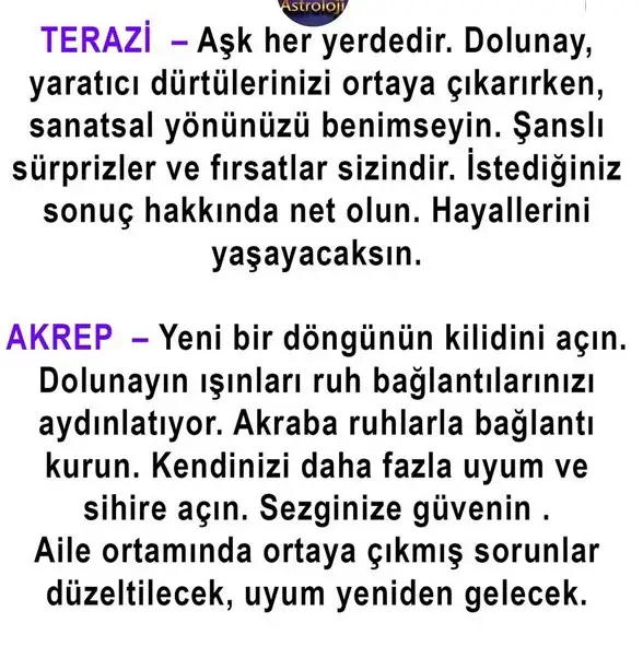 kova19 (4).webp