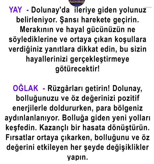 kova19 (5).webp