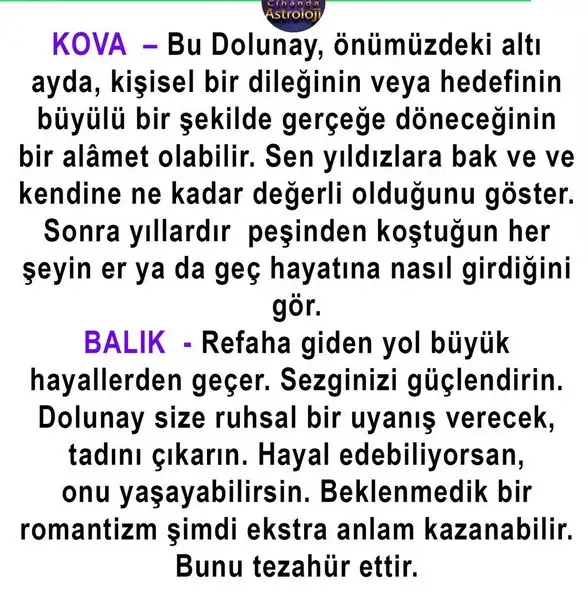 kova19 (6).webp