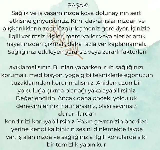 kova19 (6).webp