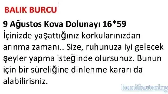 kova2 (15).webp