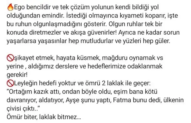 kova20 (3) - Kopya.webp