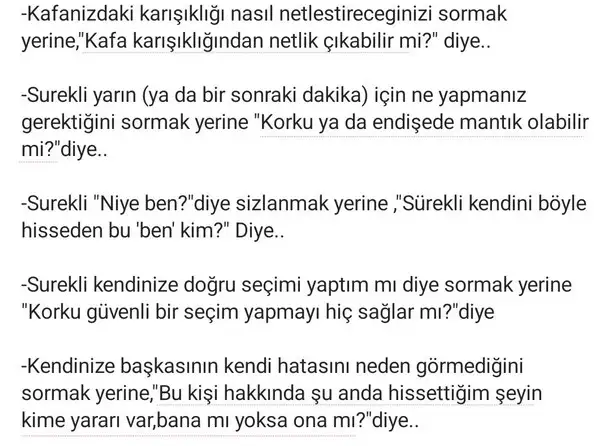 kova21 (1).webp