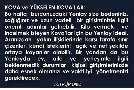 kova21 (11).webp