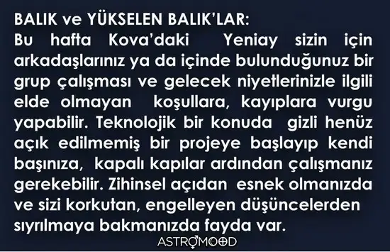 kova21 (12).webp