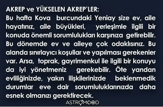 kova21 (8).webp