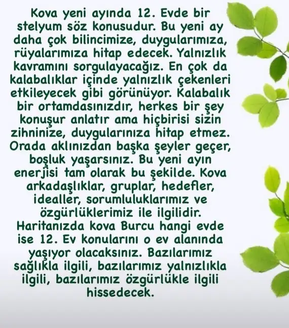 kova24 (1).webp