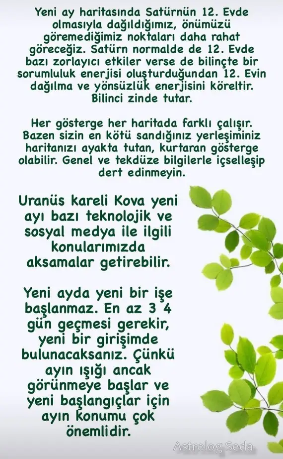 kova24 (2).webp