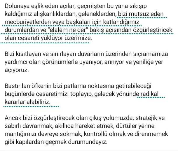kova24 (2).webp