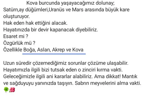 kova3 (11).webp