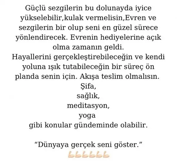 kova3 (8).webp